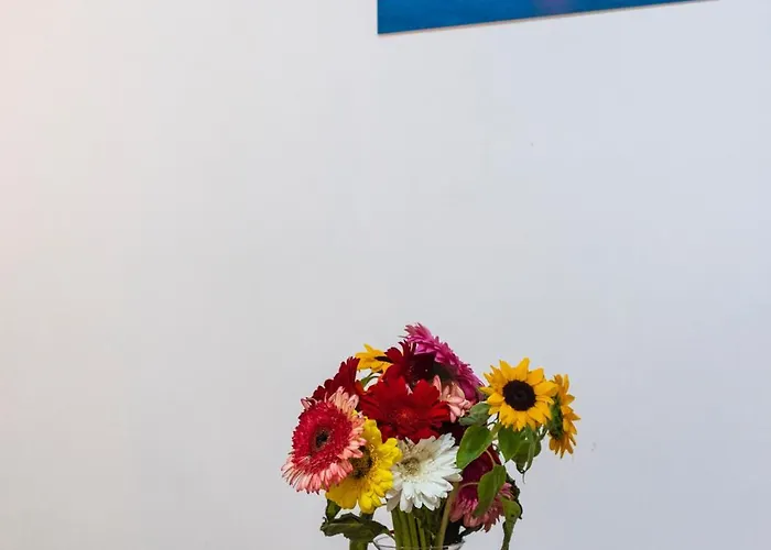 Centro Dm Lägenhet *