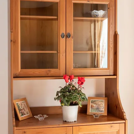 Διαμέρισμα Centro Dm